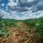 1 hectare en m2
